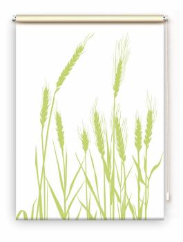 Rollo cereal 24 - blanco apfel, Rollo, Motivrollo, Rollo mit Druck, Fotorollo, bedrucktes Rollo, Fensterrollo,verdunkelndes Rollo, Sonnenschutz Rollo